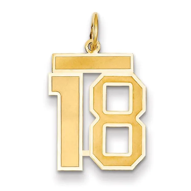 14k Yellow Gold Satin Brush Finish Medium Size Number 18 Charm Pendant