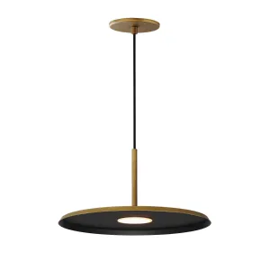 Berliner 14 in. LED Pendant Light Brass Finish