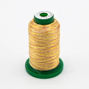 Medley™ Variegated Embroidery Thread - Amber Glow 1000 Meters (V114)