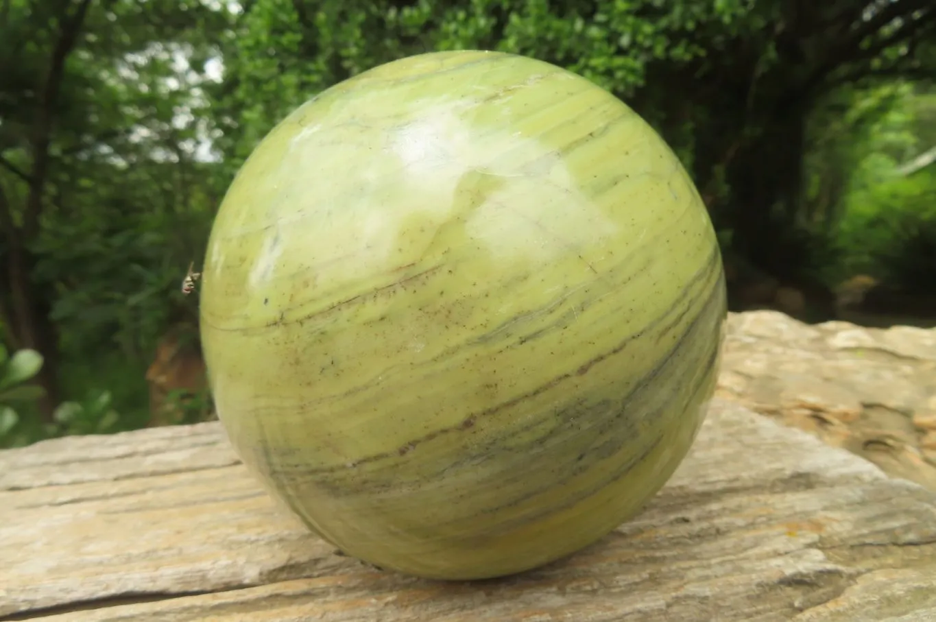 Polished Butter Jade Sphere x 1 From South Africa